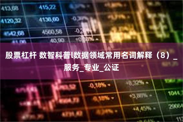 股票杠杆 数智科普l数据领域常用名词解释（8）_服务_专业_公证