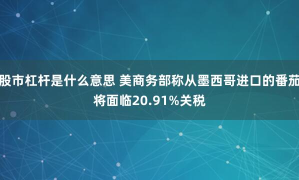 股市杠杆是什么意思 美商务部称从墨西哥进口的番茄将面临20.91%关税