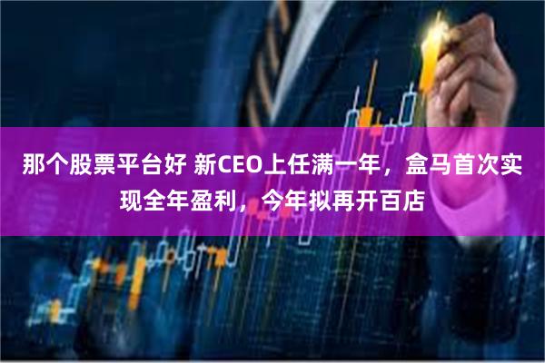 那个股票平台好 新CEO上任满一年，盒马首次实现全年盈利，今年拟再开百店