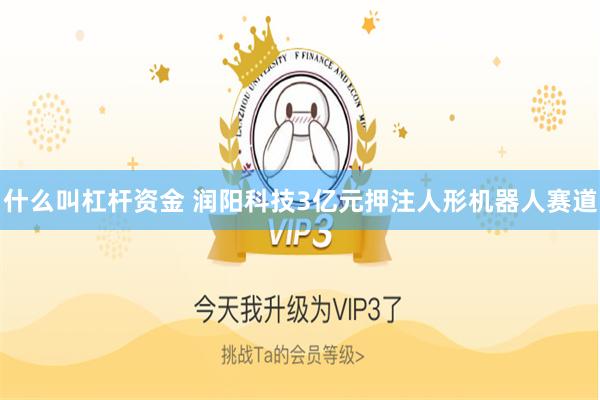 什么叫杠杆资金 润阳科技3亿元押注人形机器人赛道