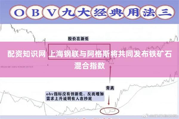 配资知识网 上海钢联与阿格斯将共同发布铁矿石混合指数