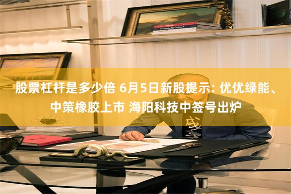 股票杠杆是多少倍 6月5日新股提示: 优优绿能、中策橡胶上市 海阳科技中签号出炉