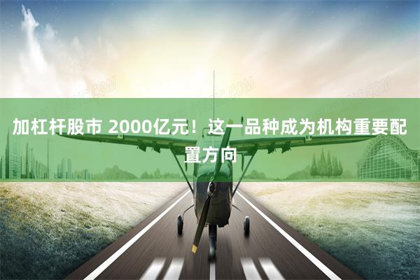 加杠杆股市 2000亿元！这一品种成为机构重要配置方向