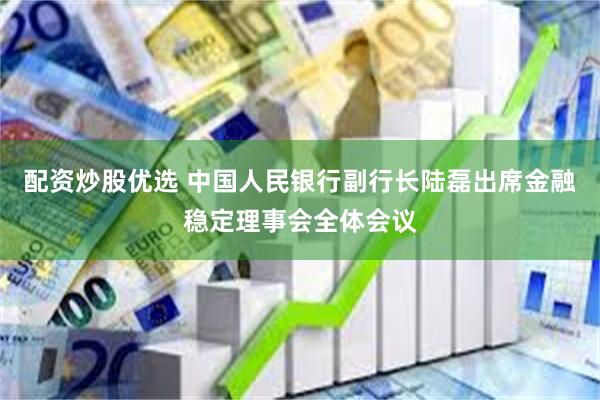 配资炒股优选 中国人民银行副行长陆磊出席金融稳定理事会全体会议