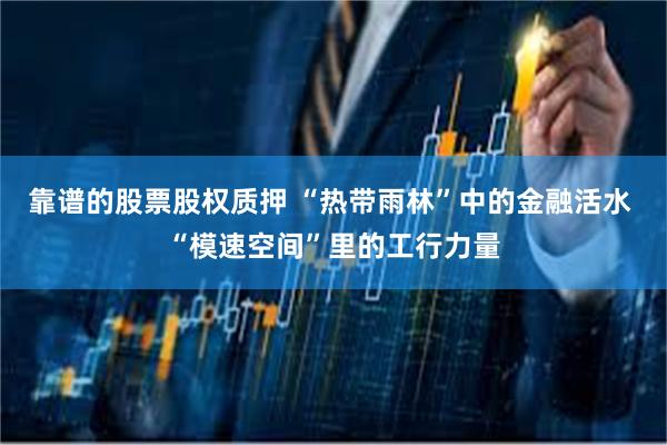 靠谱的股票股权质押 “热带雨林”中的金融活水 “模速空间”里的工行力量
