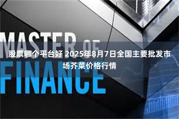 股票哪个平台好 2025年8月7日全国主要批发市场芥菜价格行情