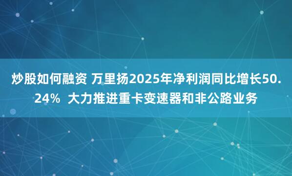 炒股如何融资 万里扬2025年净利润同比增长50.24%  大力推进重卡变速器和非公路业务