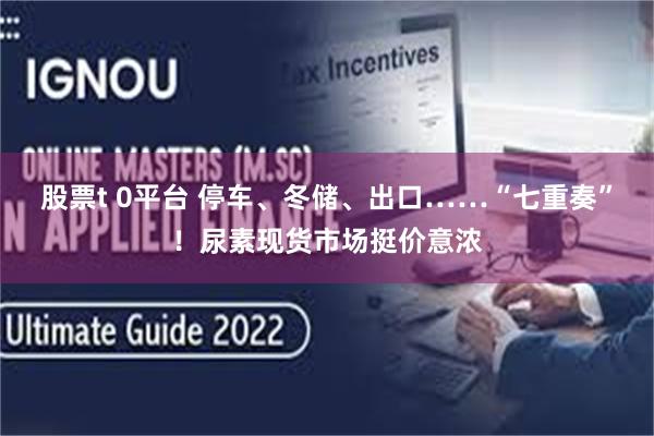 股票t 0平台 停车、冬储、出口……“七重奏”！尿素现货市场挺价意浓