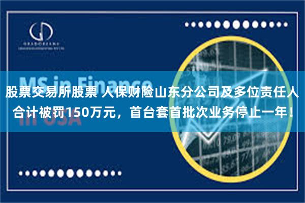 股票交易所股票 人保财险山东分公司及多位责任人合计被罚150万元，首台套首批次业务停止一年！