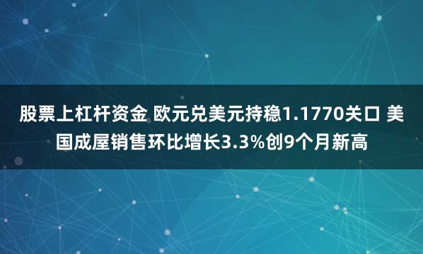股票上杠杆资金 欧元兑美元持稳1.1770关口 美国成屋销售环比增长3.3%创9个月新高